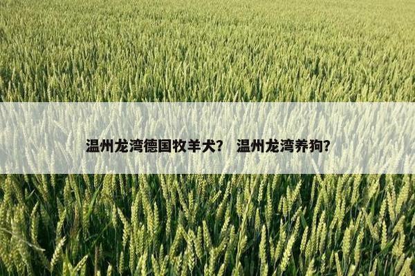 温州龙湾德国牧羊犬？ 温州龙湾养狗？