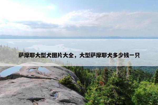 萨摩耶大型犬图片大全，大型萨摩耶犬多少钱一只