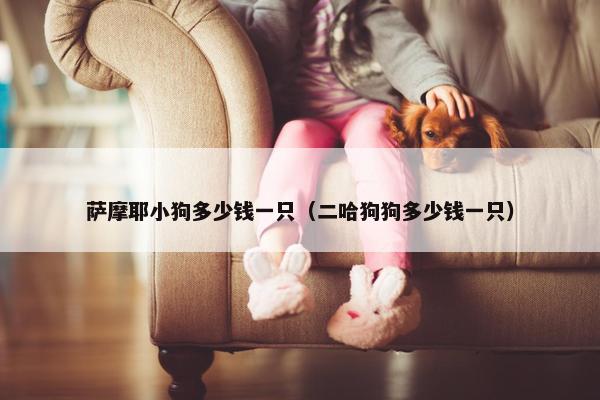 萨摩耶小狗多少钱一只（二哈狗狗多少钱一只）