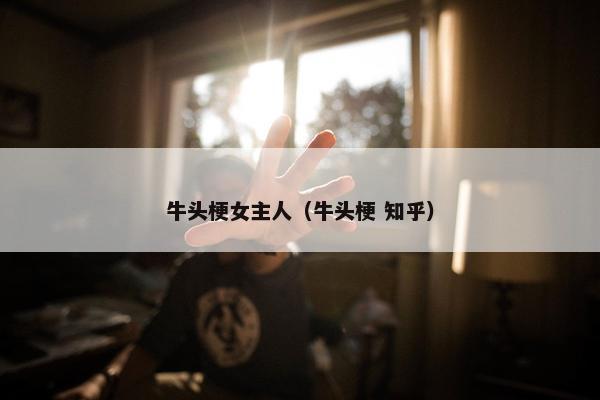 牛头梗女主人（牛头梗 知乎）