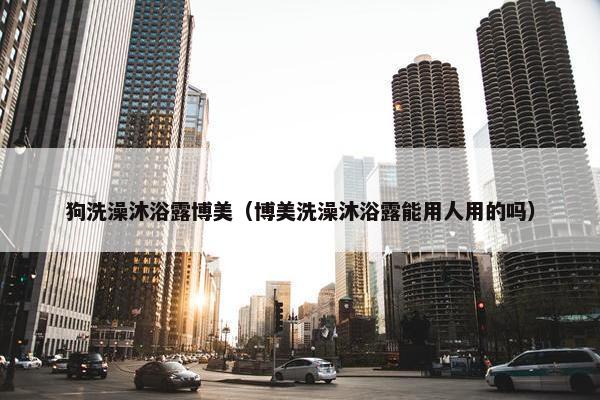 狗洗澡沐浴露博美（博美洗澡沐浴露能用人用的吗）