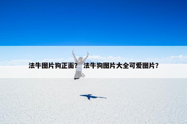 法牛图片狗正面？ 法牛狗图片大全可爱图片？