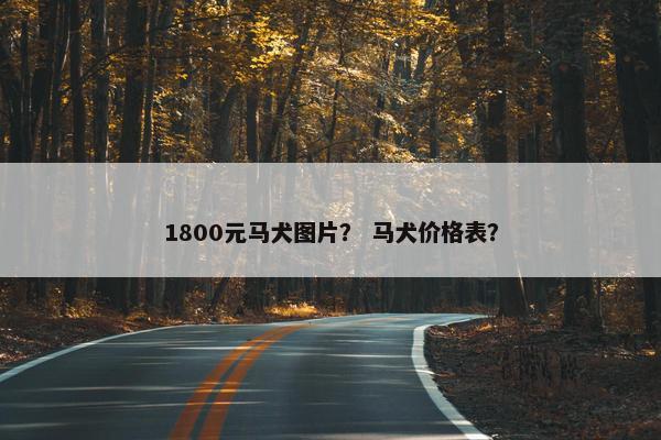 1800元马犬图片？ 马犬价格表？