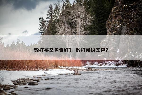 散打哥辛巴谁红？ 散打哥说辛巴？
