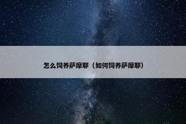 怎么饲养萨摩耶（如何饲养萨摩耶）