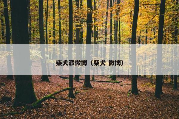 柴犬派微博（柴犬 微博）