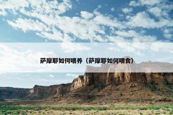 萨摩耶如何喂养（萨摩耶如何喂食）
