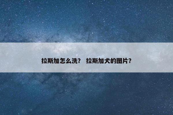 拉斯加怎么洗？ 拉斯加犬的图片？