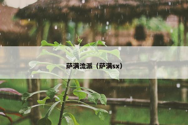萨满流派（萨满sx）