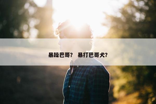 暴躁巴哥？ 暴打巴哥犬？