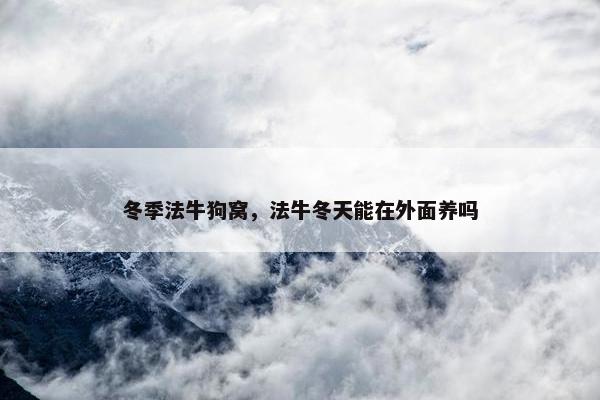 冬季法牛狗窝，法牛冬天能在外面养吗