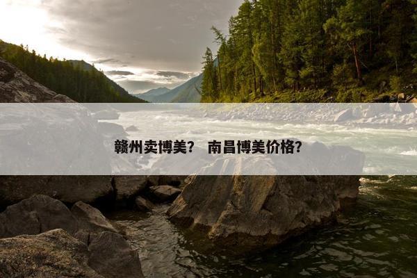 赣州卖博美？ 南昌博美价格？