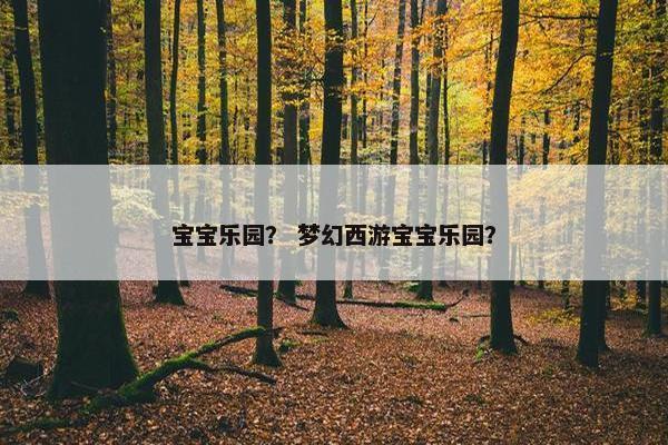 宝宝乐园？ 梦幻西游宝宝乐园？