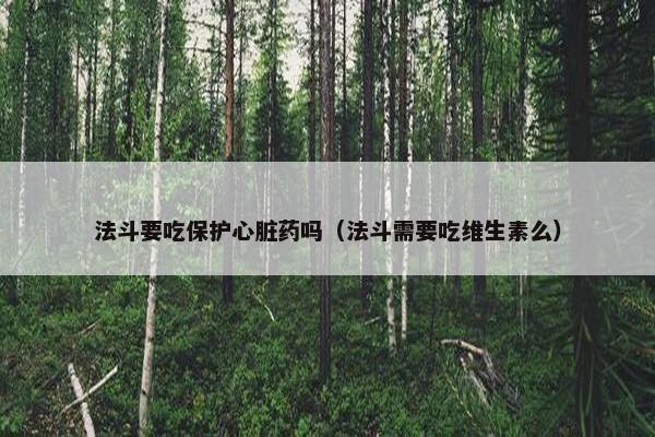 法斗要吃保护心脏药吗（法斗需要吃维生素么）