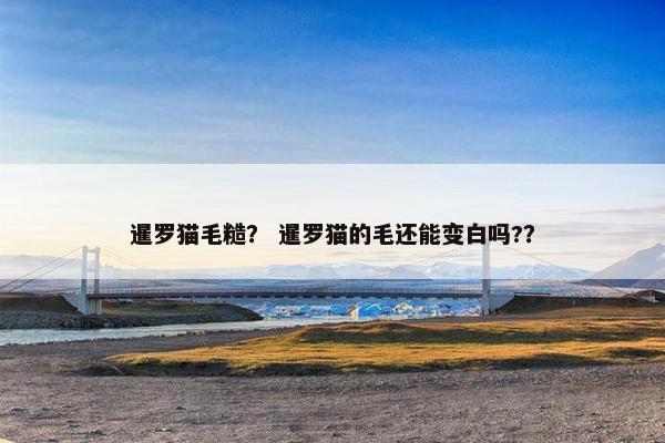 暹罗猫毛糙？ 暹罗猫的毛还能变白吗?？