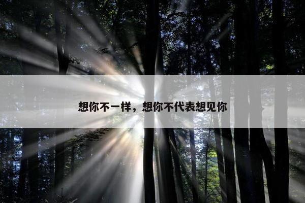 想你不一样，想你不代表想见你