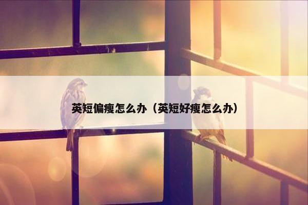英短偏瘦怎么办（英短好瘦怎么办）