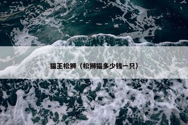 猫王松狮（松狮猫多少钱一只）