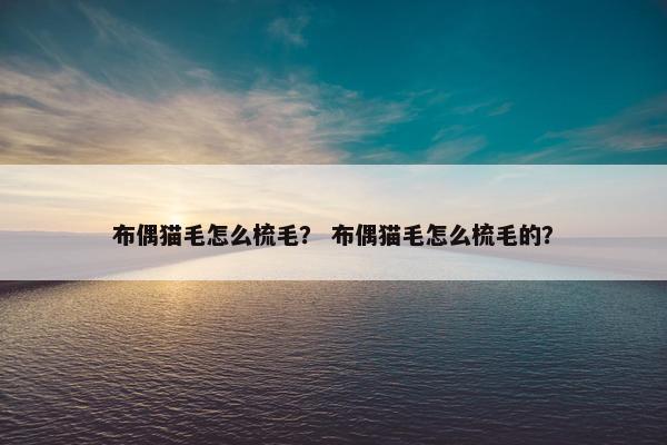 布偶猫毛怎么梳毛？ 布偶猫毛怎么梳毛的？