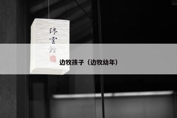 边牧孩子（边牧幼年）