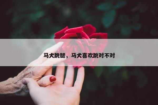马犬跳腿，马犬喜欢跳对不对