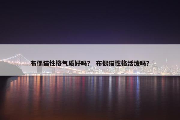 布偶猫性格气质好吗？ 布偶猫性格活泼吗？