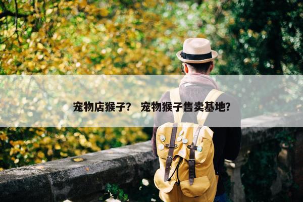 宠物店猴子？ 宠物猴子售卖基地？