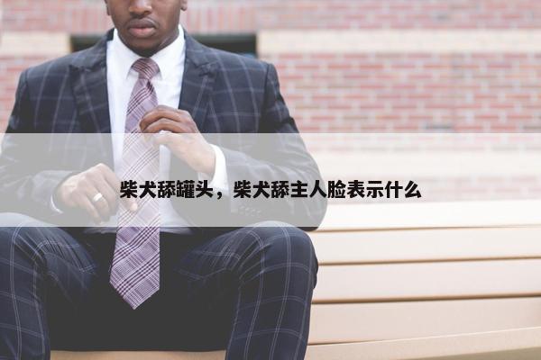 柴犬舔罐头，柴犬舔主人脸表示什么