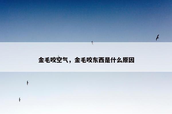 金毛咬空气，金毛咬东西是什么原因