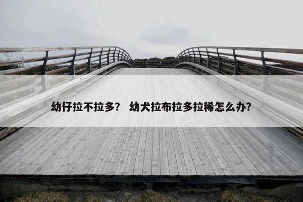 幼仔拉不拉多？ 幼犬拉布拉多拉稀怎么办？